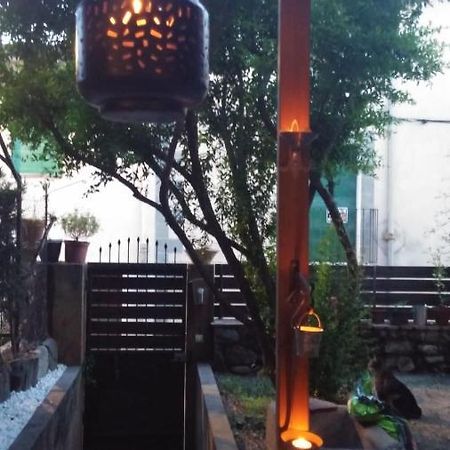 Les Magranes Bed & Breakfast Argelaguer エクステリア 写真